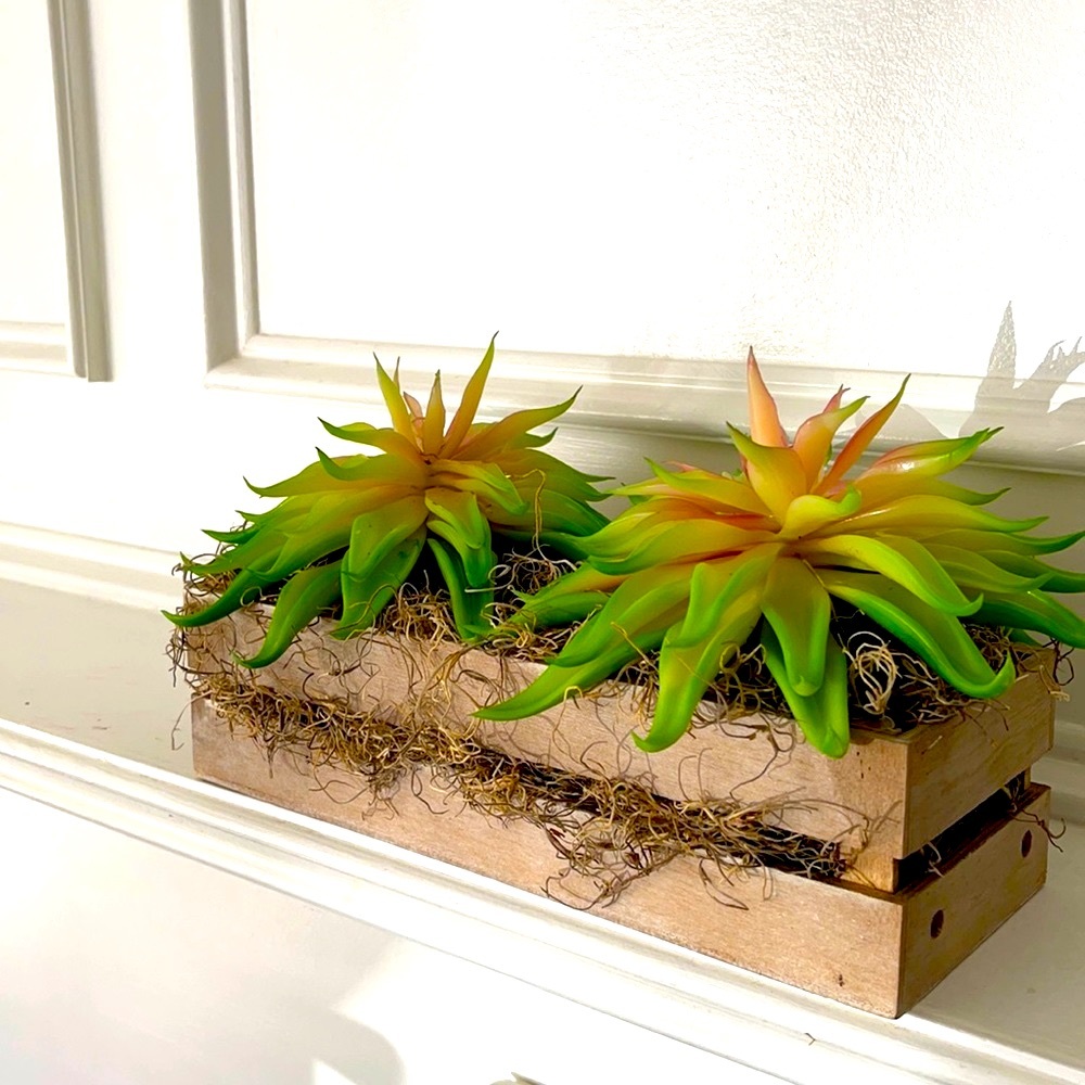 🪴🪴Succulent Floral Arrangement🪴🪴
